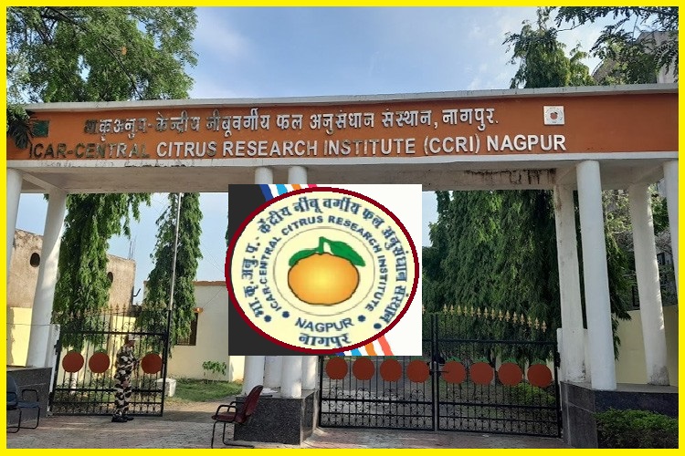 ICAR CCRI Nagpur Recruitment 2024