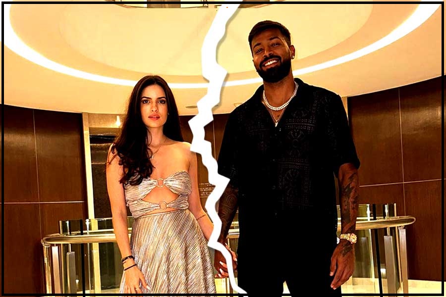 Hardik Pandya and Natsha Divorce