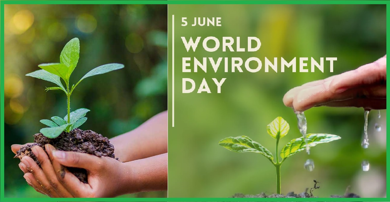 World Environmental Day 2024
